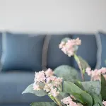 Διαμέρισμα Liiiving In - View *
